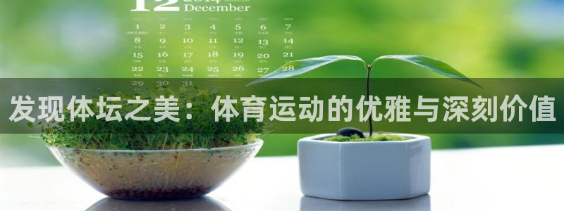 球速体育：发现体坛之美：体育运动的优雅与深刻价值