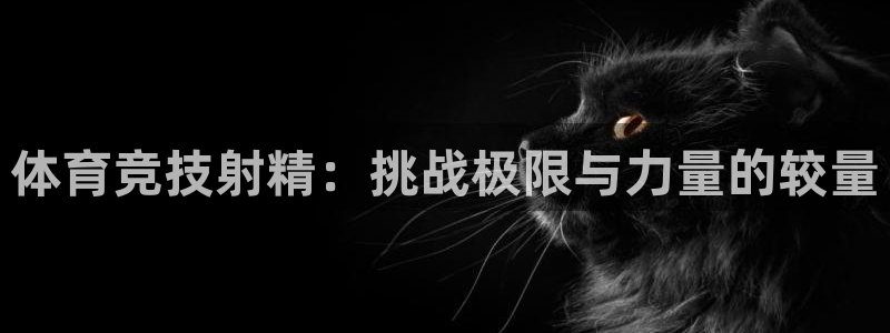 球速体育：体育竞技射精：挑战极限与力量的较量