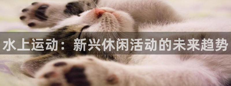 球速体育：水上运动：新兴休闲活动的未来趋势