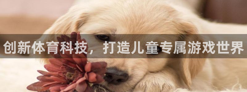 球速体育：创新体育科技，打造儿童专属游戏世界