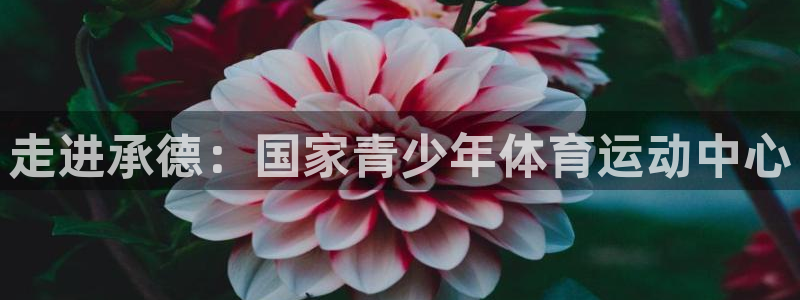 球速体育：走进承德：国家青少年体育运动中心