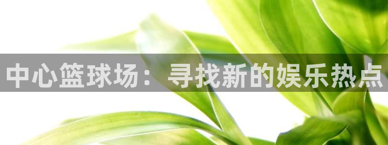 球速体育：中心篮球场：寻找新的娱乐热点