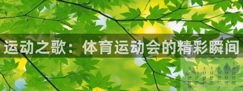 球速体育：运动之歌：体育运动会的精彩瞬间
