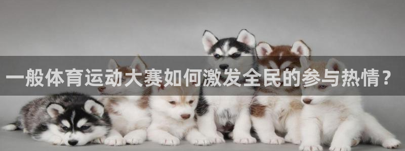 球速体育：一般体育运动大赛如何激发全民的参与热情？
