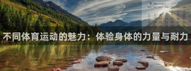 球速体育：不同体育运动的魅力：体验身体的力量与耐力