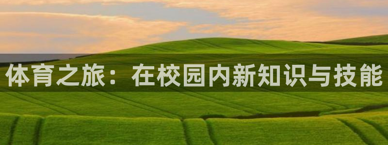 球速体育：体育之旅：在校园内新知识与技能