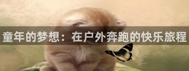 球速体育：童年的梦想：在户外奔跑的快乐旅程