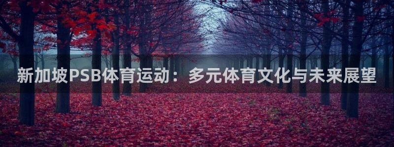 球速体育：新加坡PSB体育运动：多元体育文化与未来展望